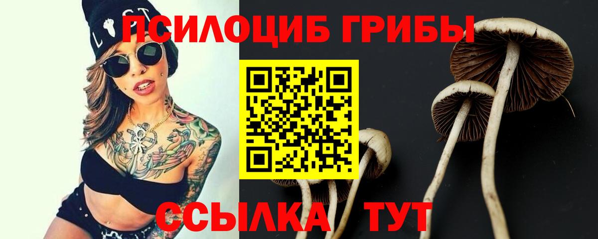 Галлюциногенные грибы Magic Shrooms Дивногорск
